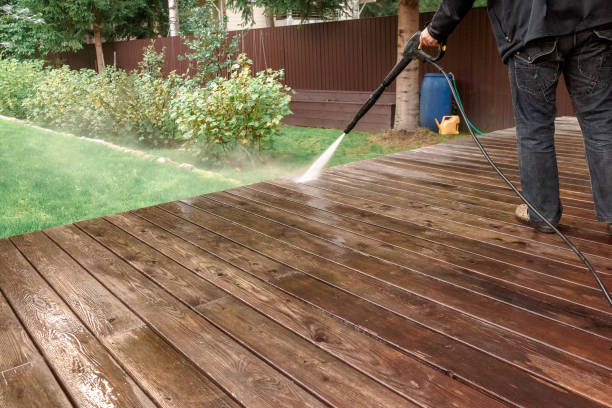 Animal Enclosure Cleaning in Deming, NM